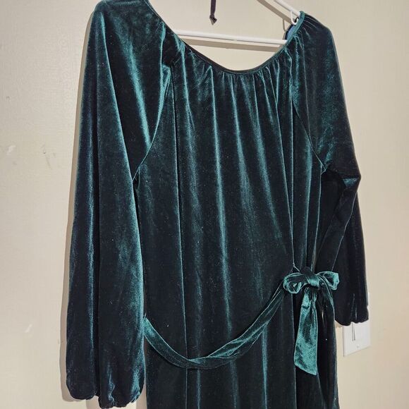Draper James Dress For Women Size Medium Velvet Green Lined Pockets B7 - Picture 5 of 14